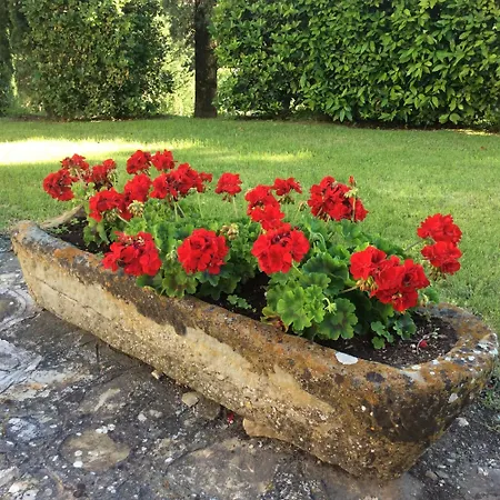Montorio-3